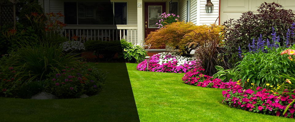 Barberton Landscapers