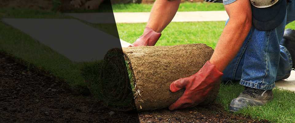Barberton Landscapers